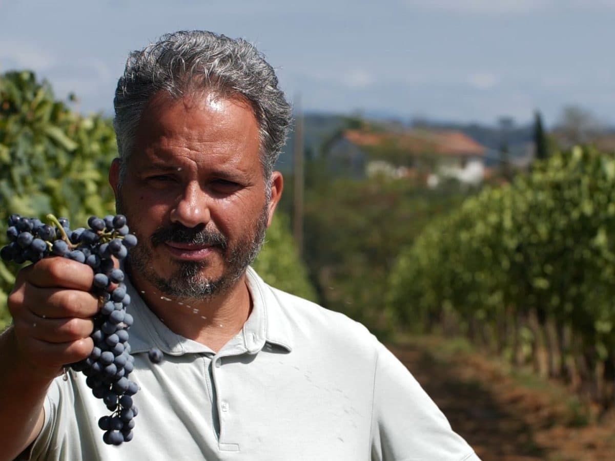 Standard Lunch a Luteraia 5