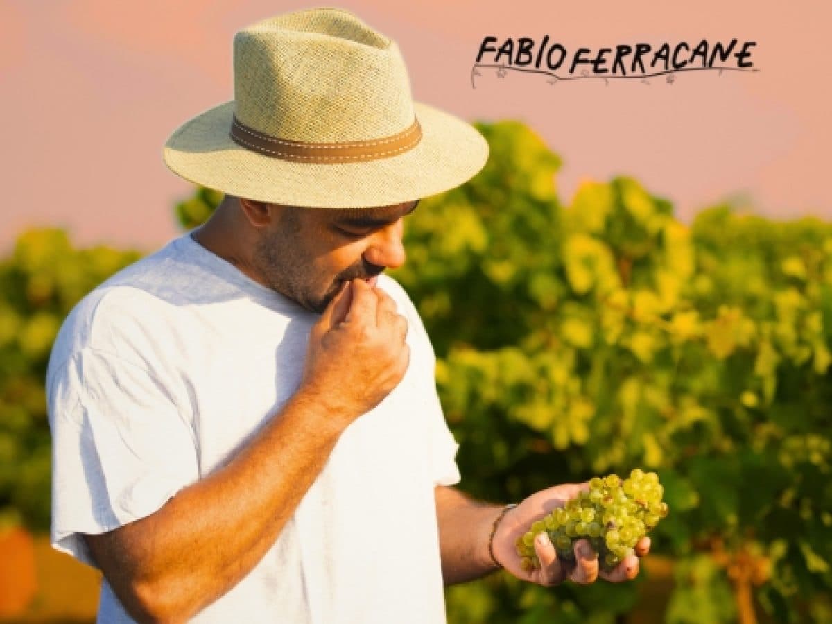 Fabio Ferracane, Sunset Experience Degustazione di Vini Naturali con Vista sulle Isole Egadi al Tramonto