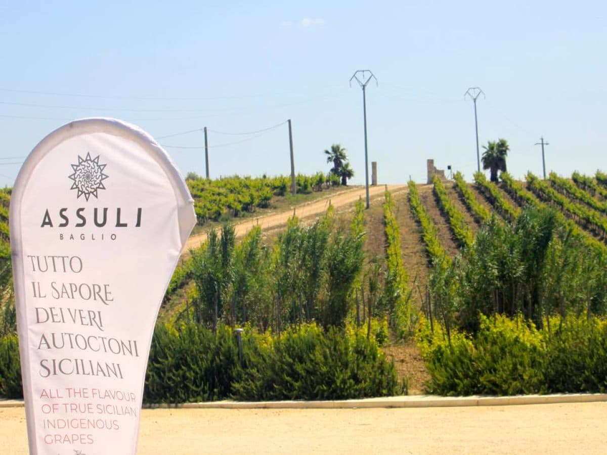 Assuli Full Tasting 4