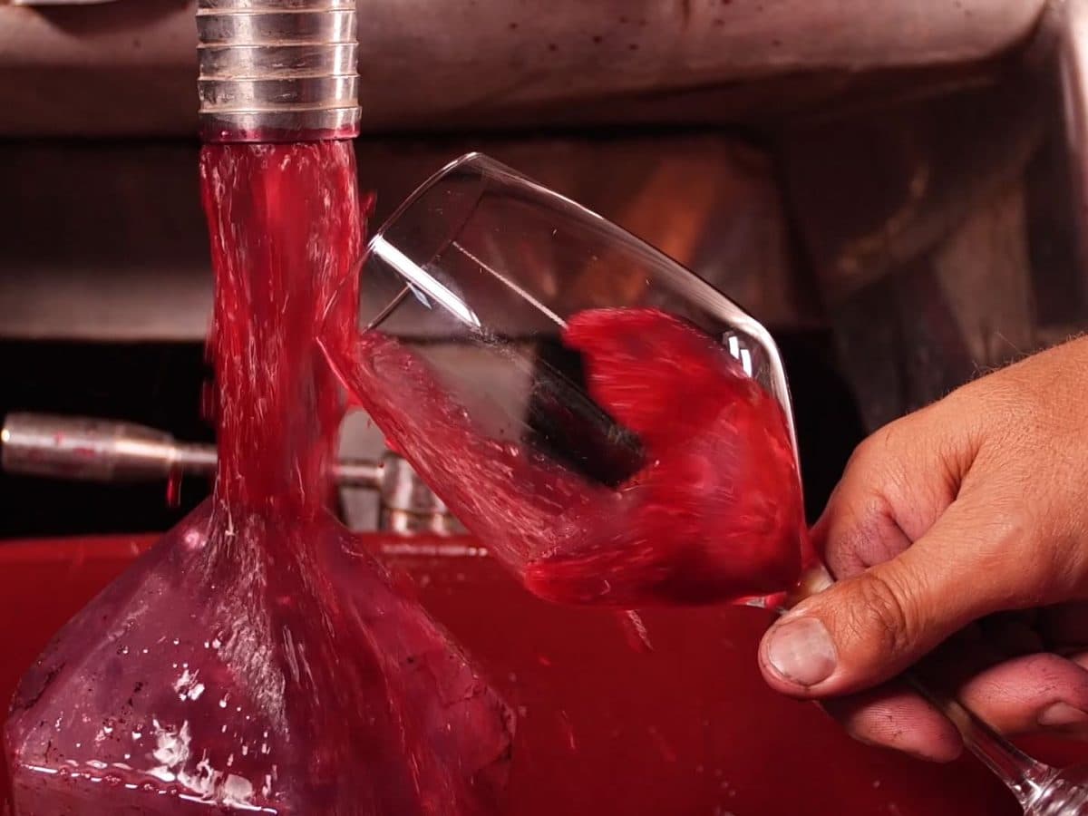 Standard Lunch a Luteraia 3