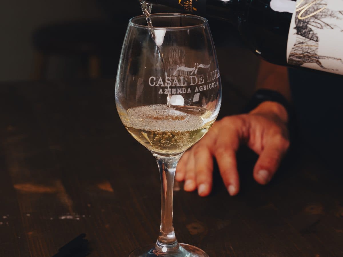 Degustazione in bottaia 4