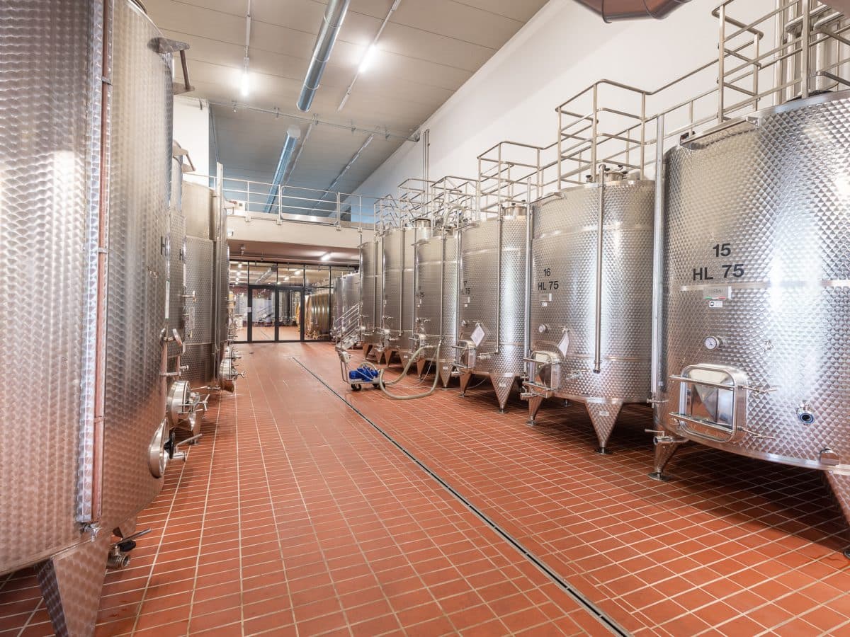 Il Dosman : Degustazione in cantina La Morra 3