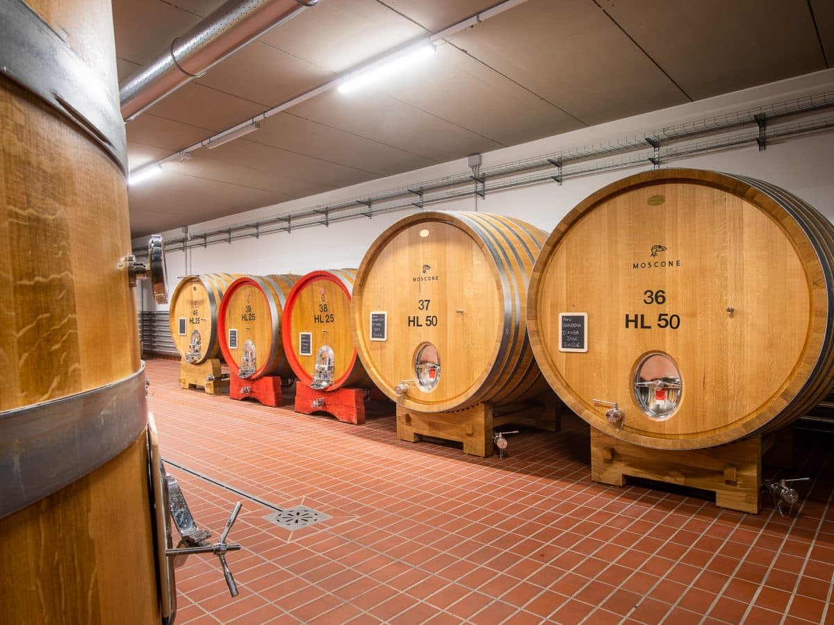 Il Dosman : Degustazione in cantina La Morra 2