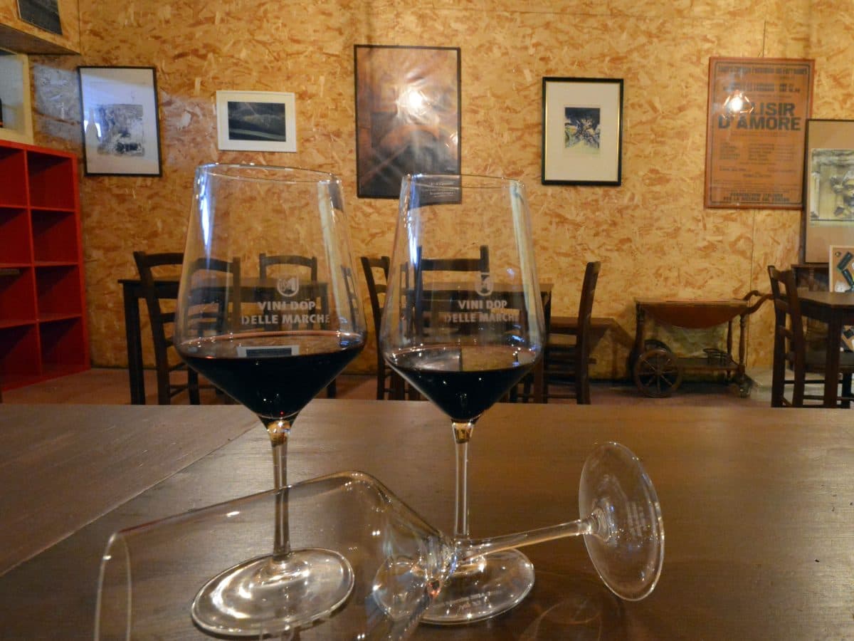 Degustazione del Verdicchio dei castelli di Jesi a Podere Mattei 3