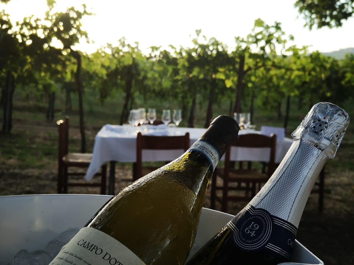 Cena in vigna con visita guidata e calice di benvenuti 3