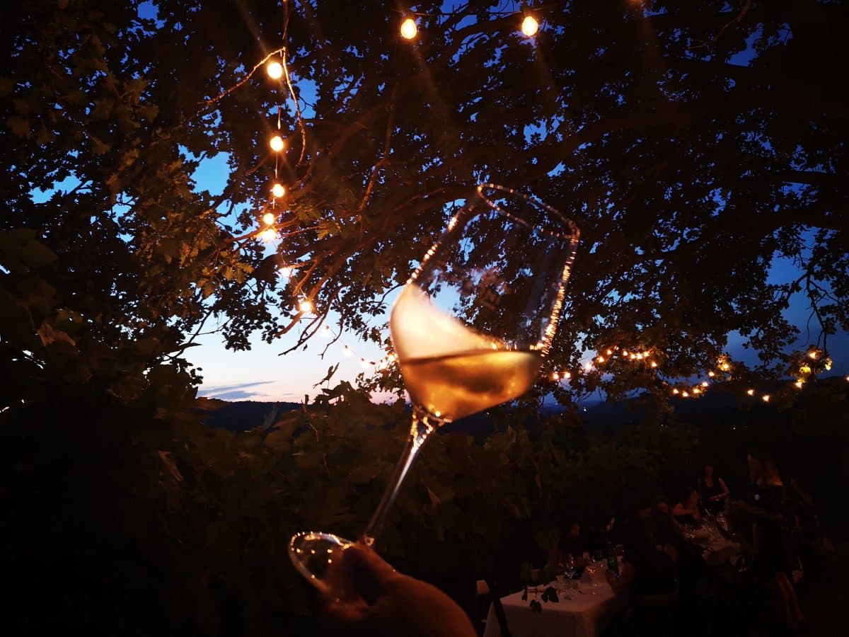 Cena in vigna con visita guidata e calice di benvenuti 4