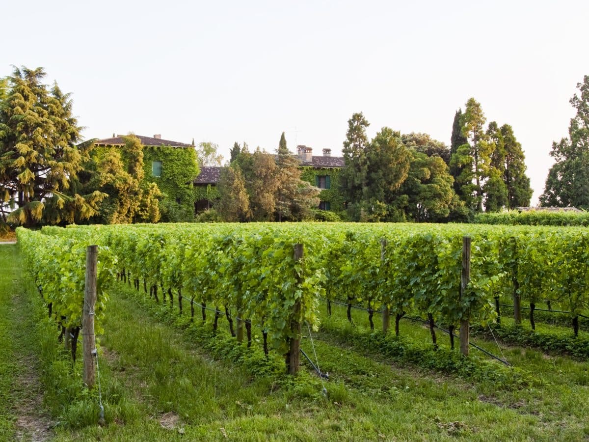 Degustazione "Per Finire" 3