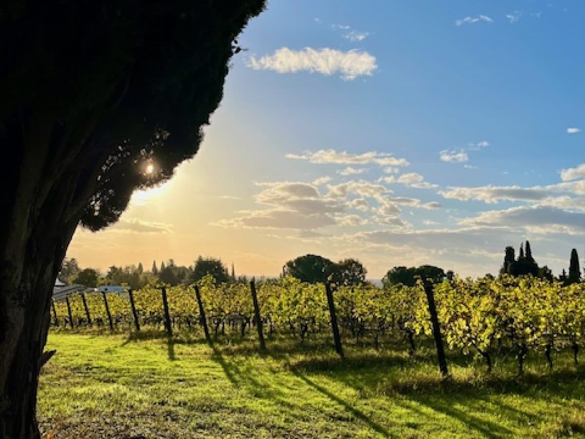 Degustazione "Per Finire" 5