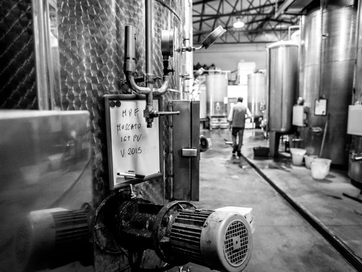 Visita e degustazione guidata di tre spumanti Metodo Classico 3