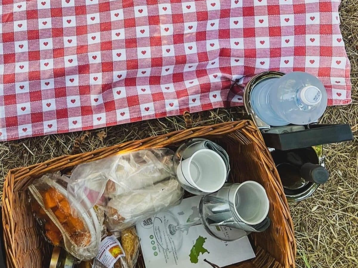 Pic nic nel vigneto 3