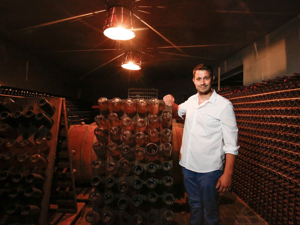 Cena in vigna con visita guidata e calice di benvenuti 2
