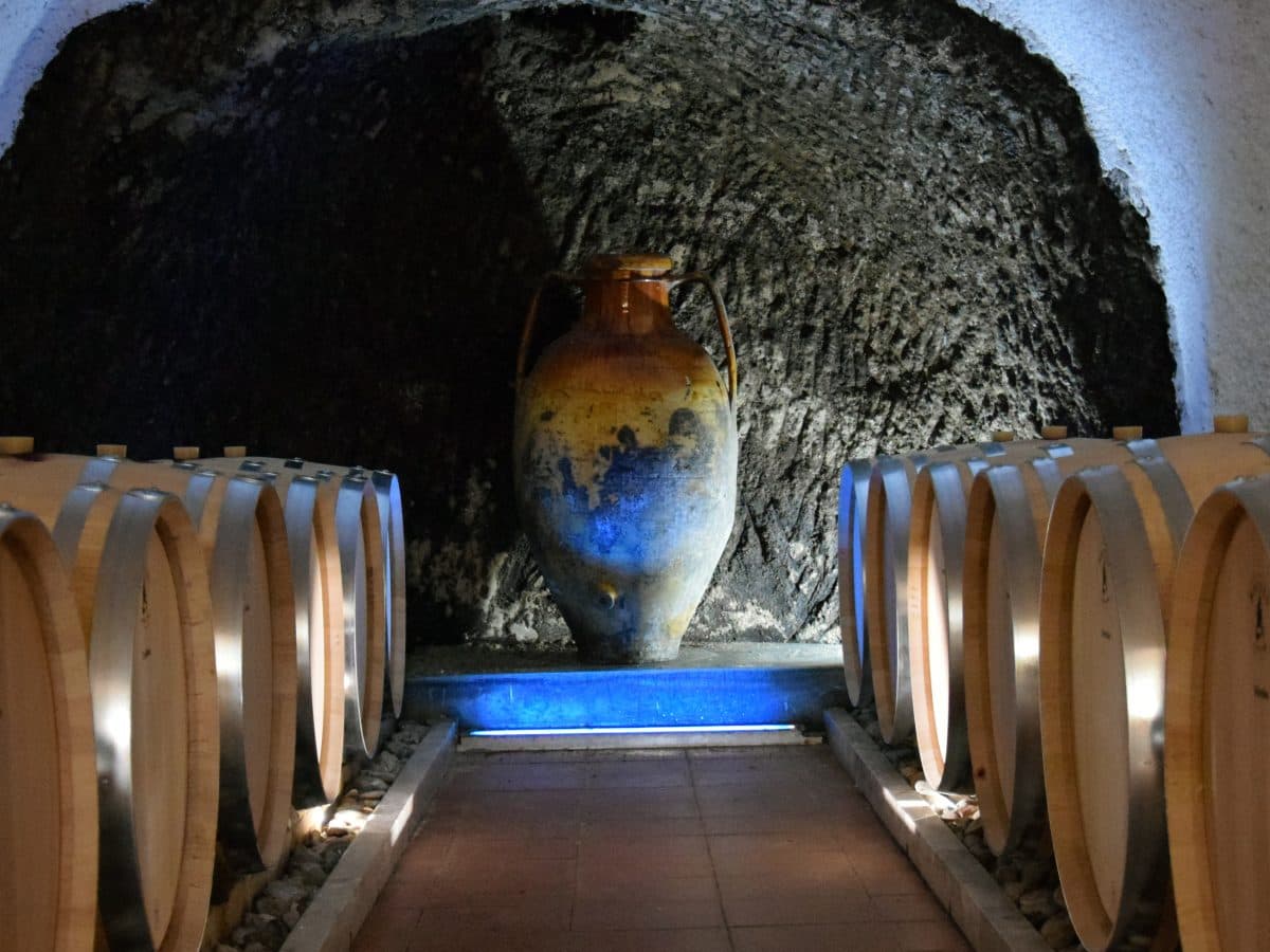 Discover Titolo World 5