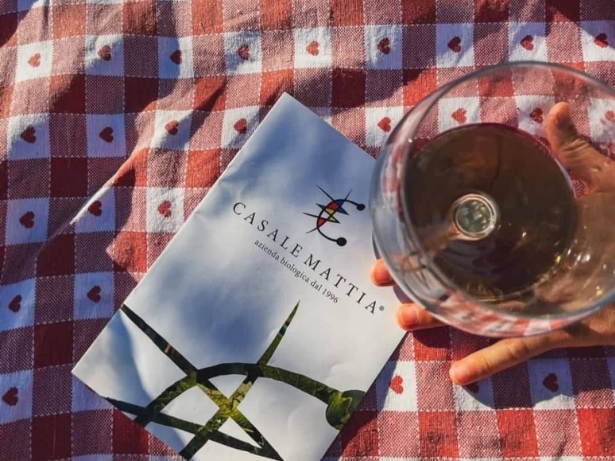 Pic nic nel vigneto 2