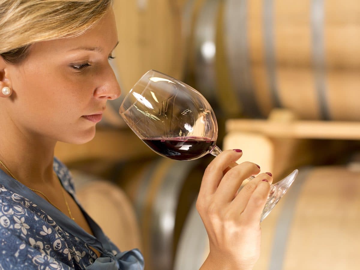 Visita della cantina e degustazione classica