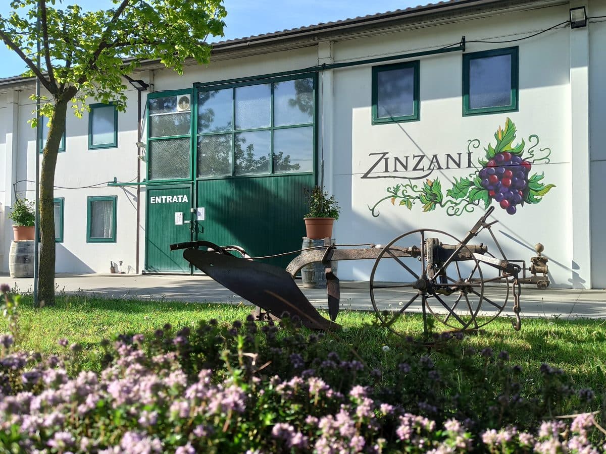 Visita della cantina con il vignaiolo e degustazione dei nostri vini. 4