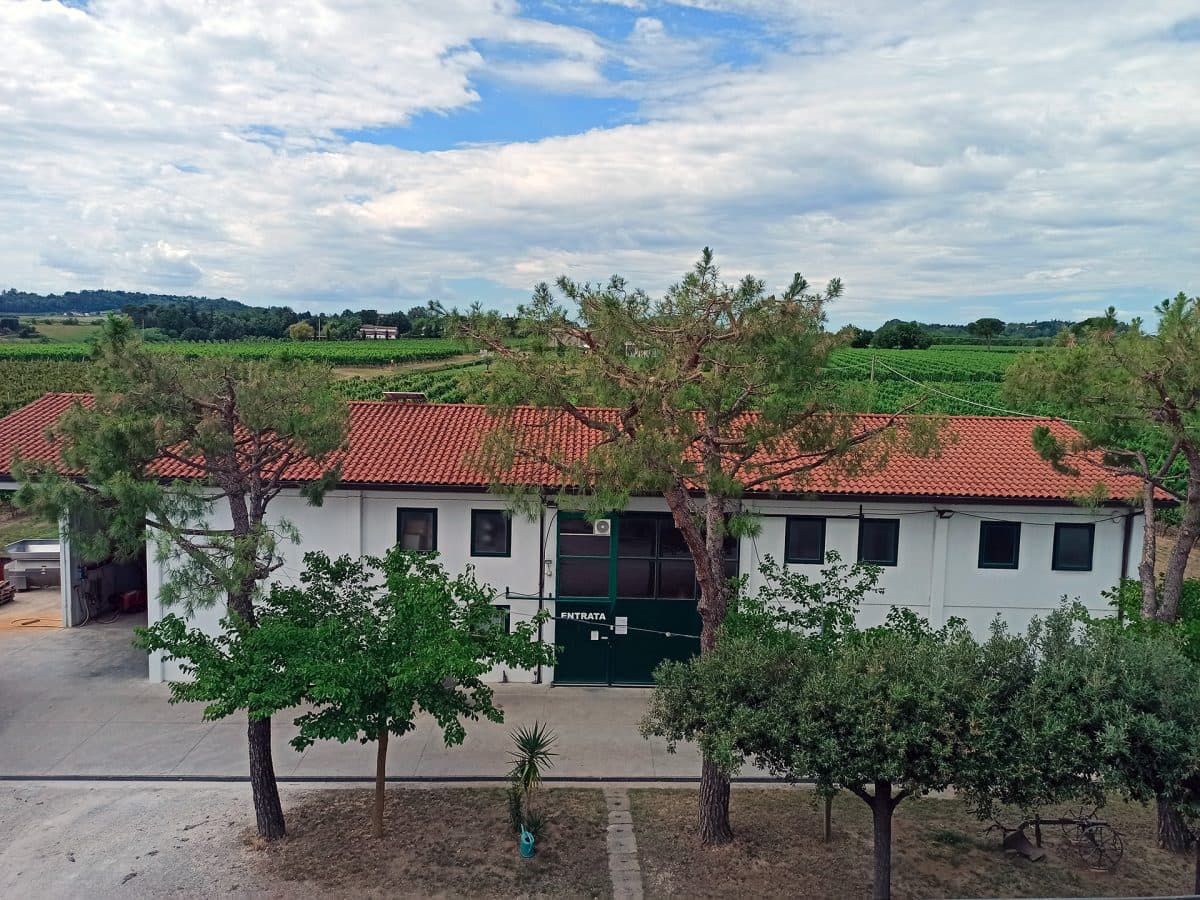 Visita della cantina con il vignaiolo e degustazione dei nostri vini. 2