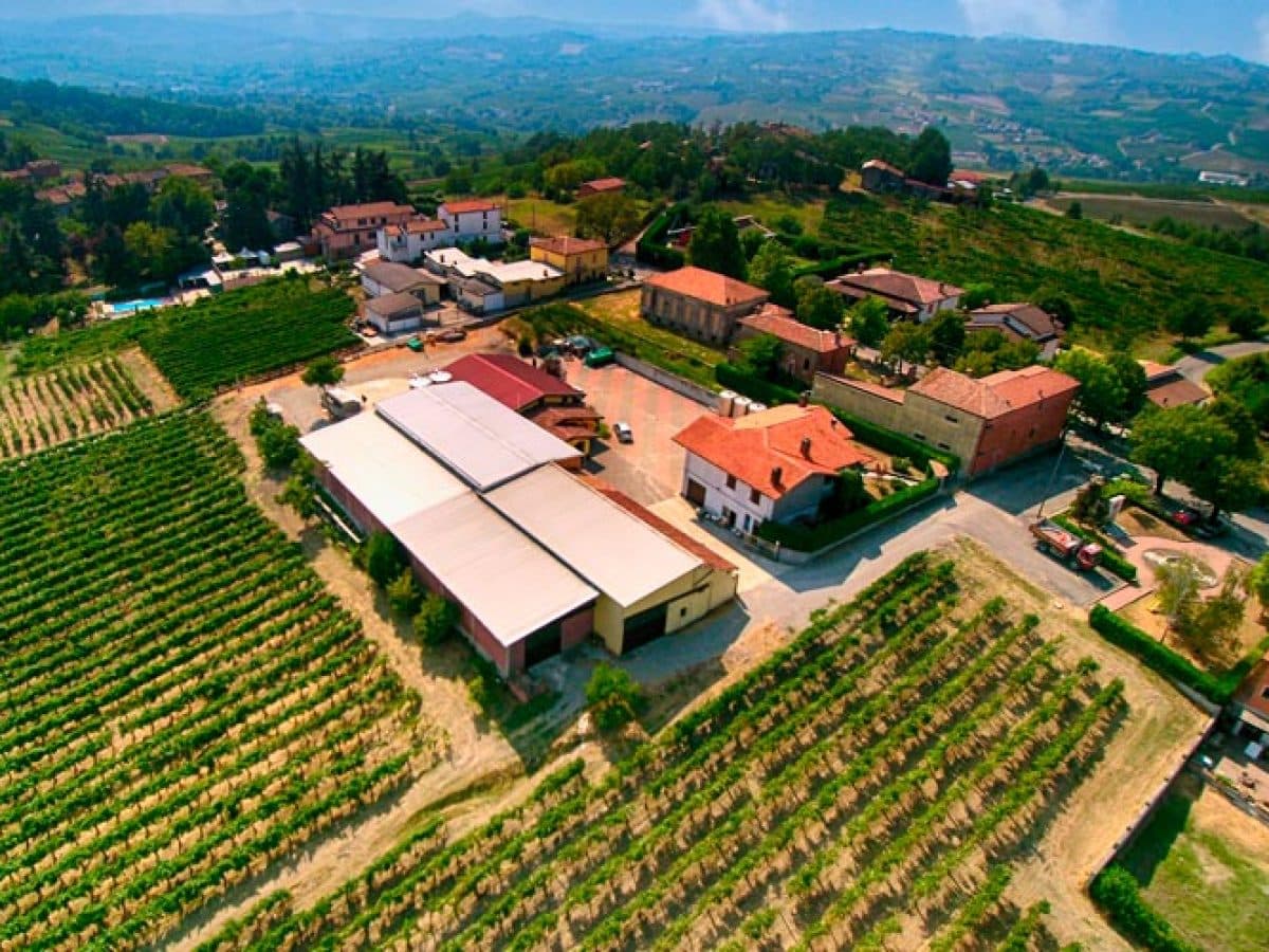 Visita alla cantina e degustazione guidata di tre vini e uno spumante metodo classico 3