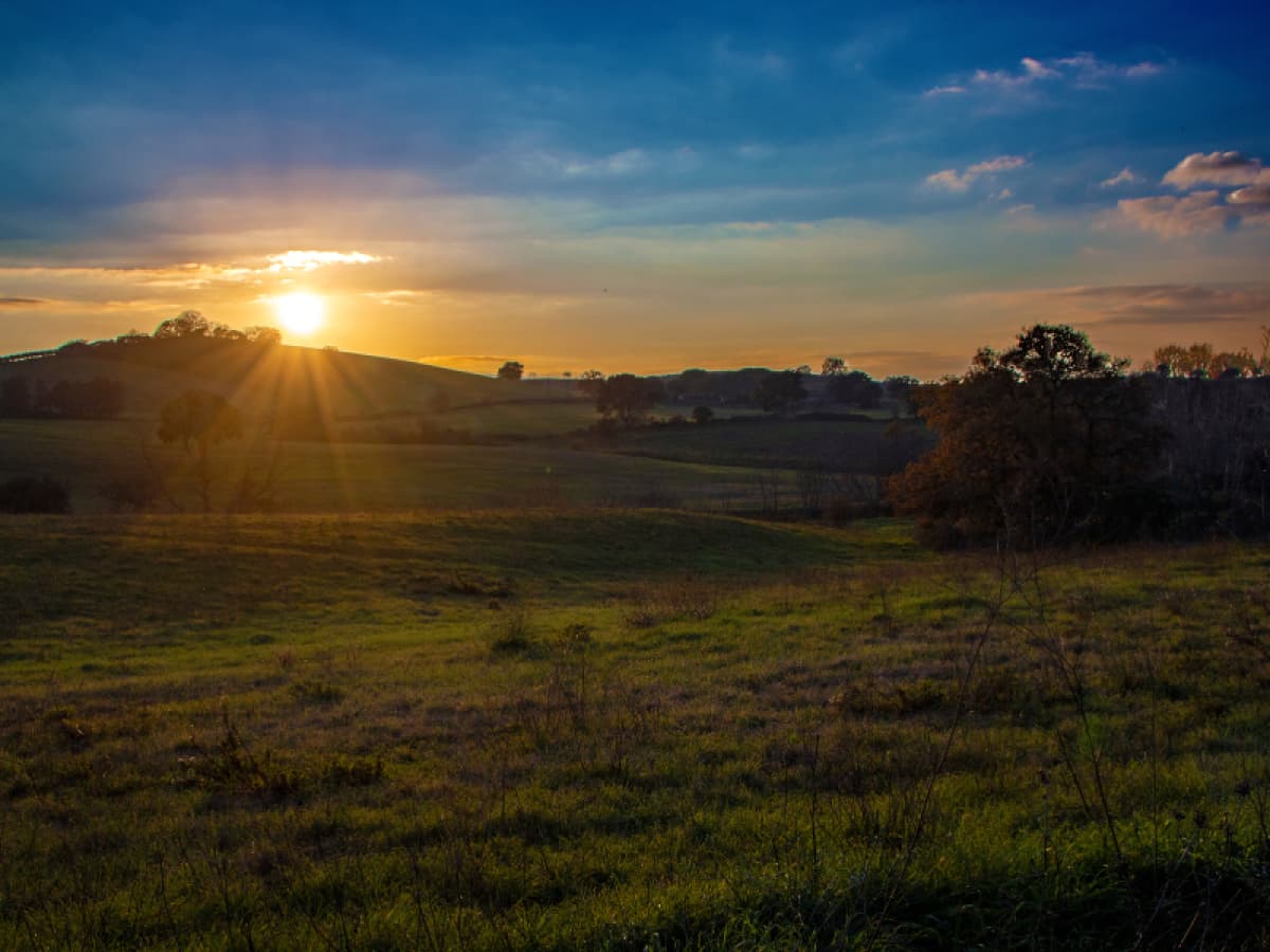 Passione Maremma. Due Chiacchiere in cantina e degustazione dei nostri vini. 5