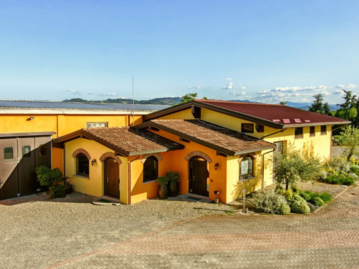 Visita alla cantina e degustazione guidata di tre vini e uno spumante metodo classico 2