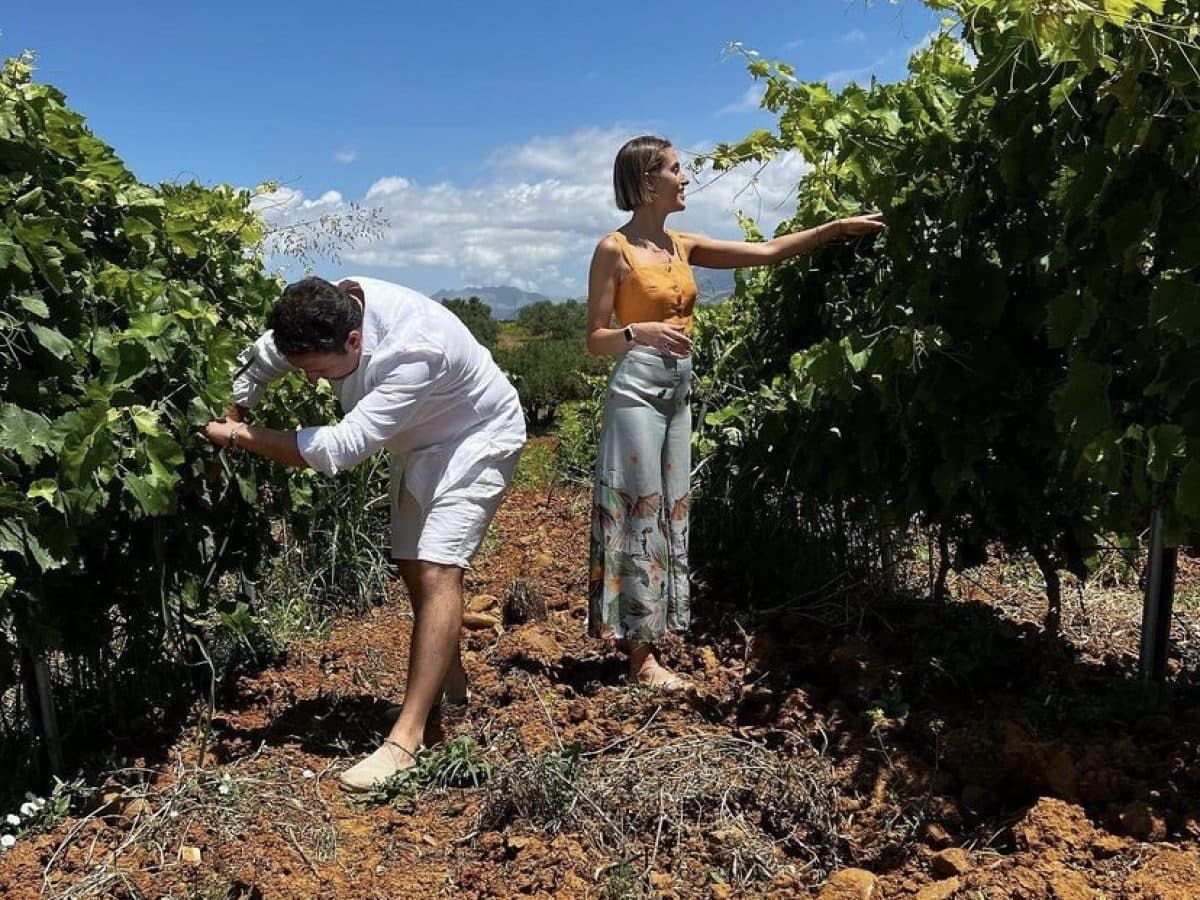 Tola full experience 3