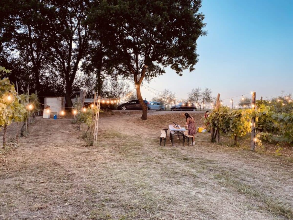 Visita della cantina e degustazione di 3 vini e Passito - Umbria IGT 2