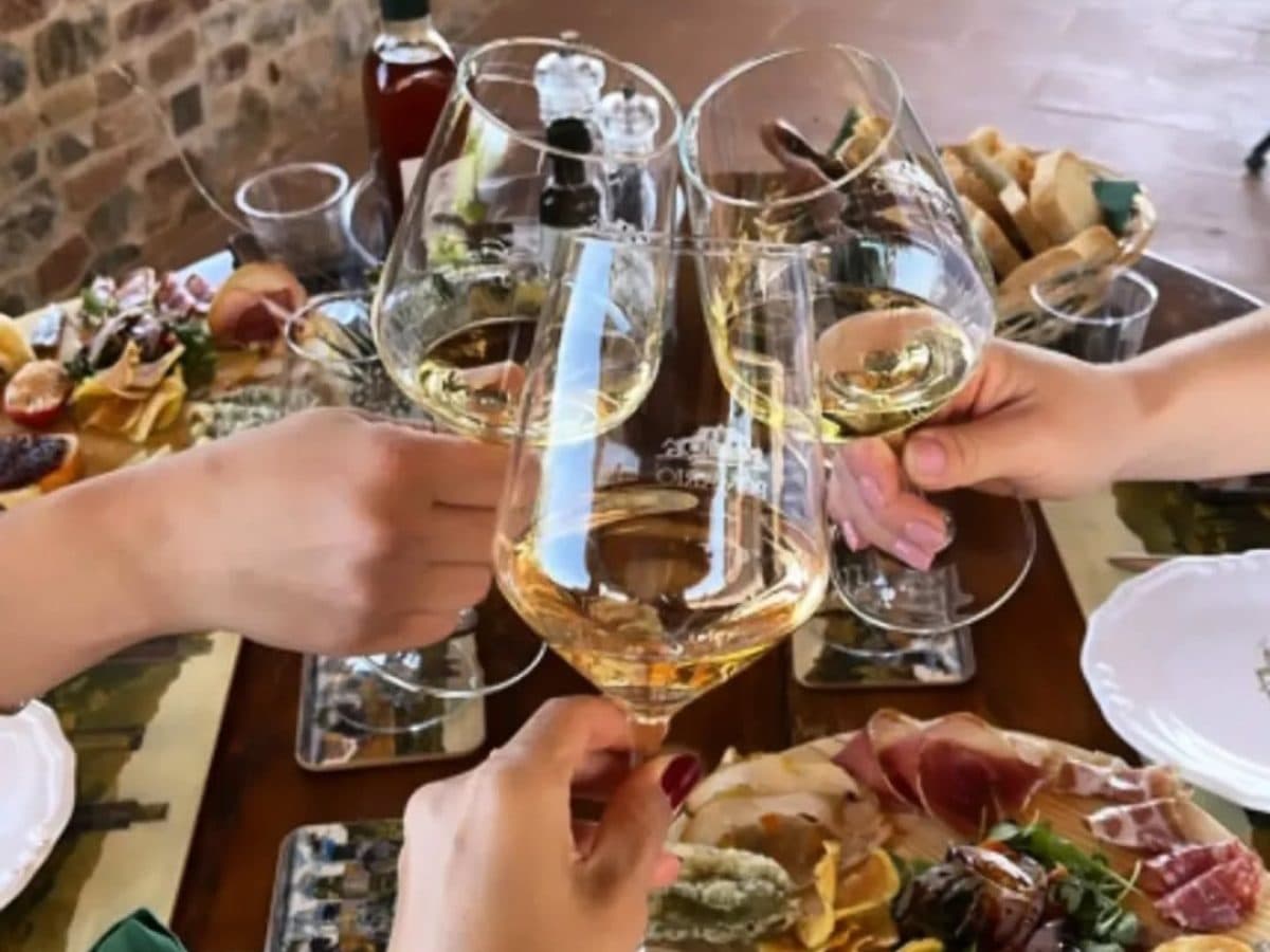 Tenuta Pomario. Visita in cantina e Degustazione Classica 4