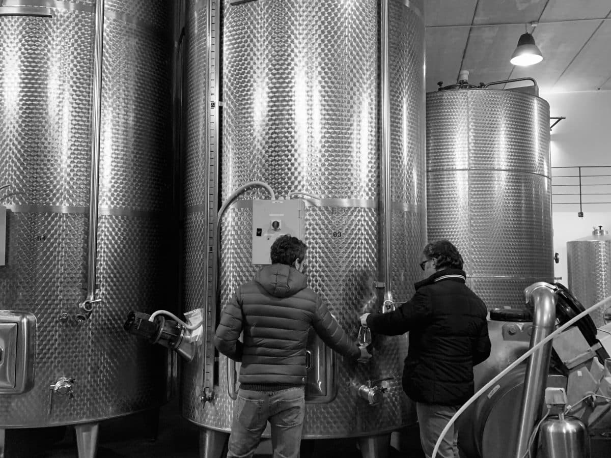 Tola full experience 5