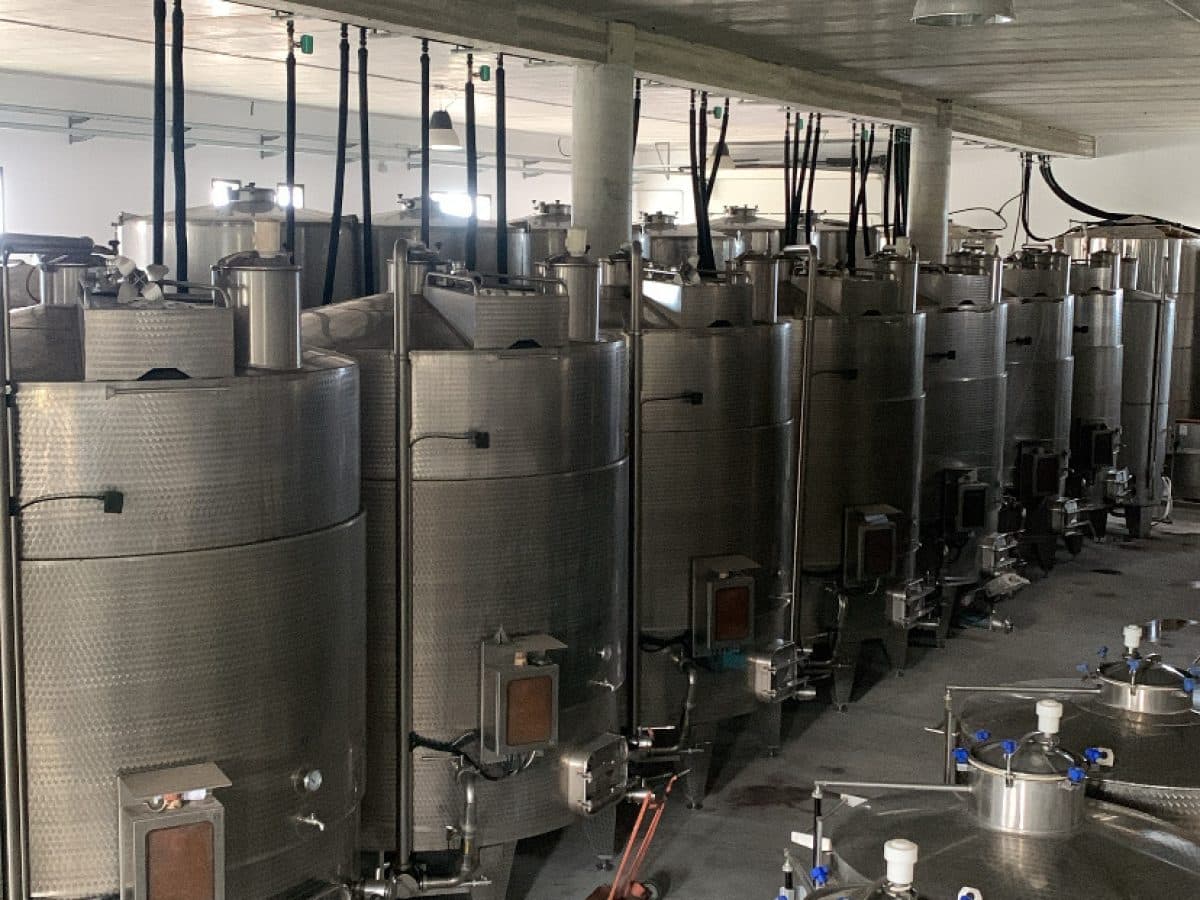 Tola full experience 4