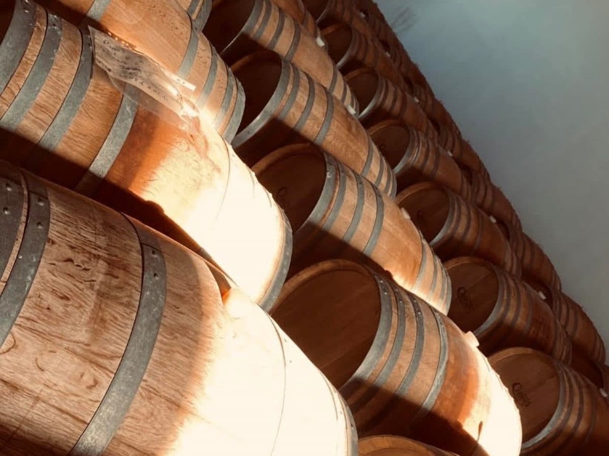 Tola full experience 2