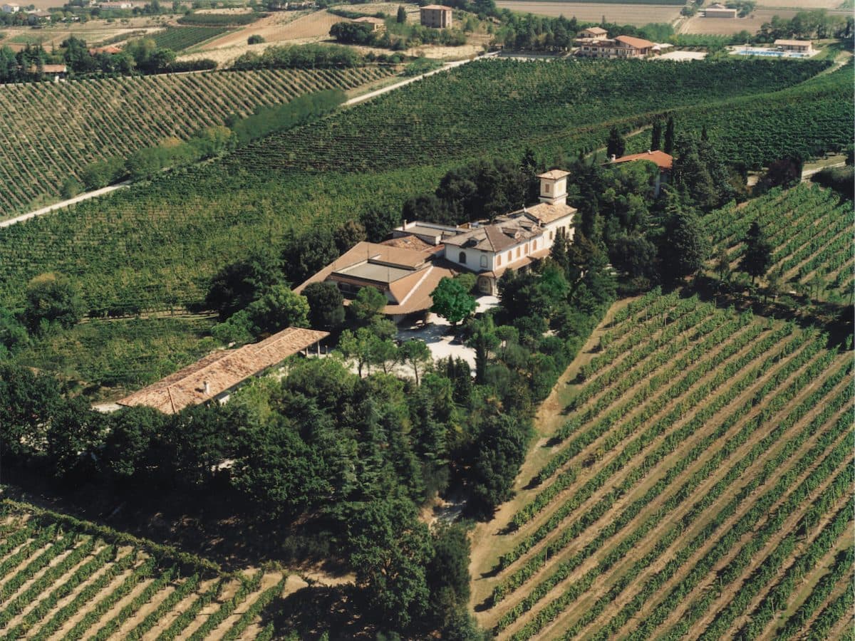 Fattoria Paradiso Wine Tasting e Visita al Museo del Vino a Bertinoro