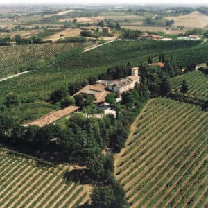 Fattoria Paradiso Wine Tasting e Visita al Museo del Vino a Bertinoro