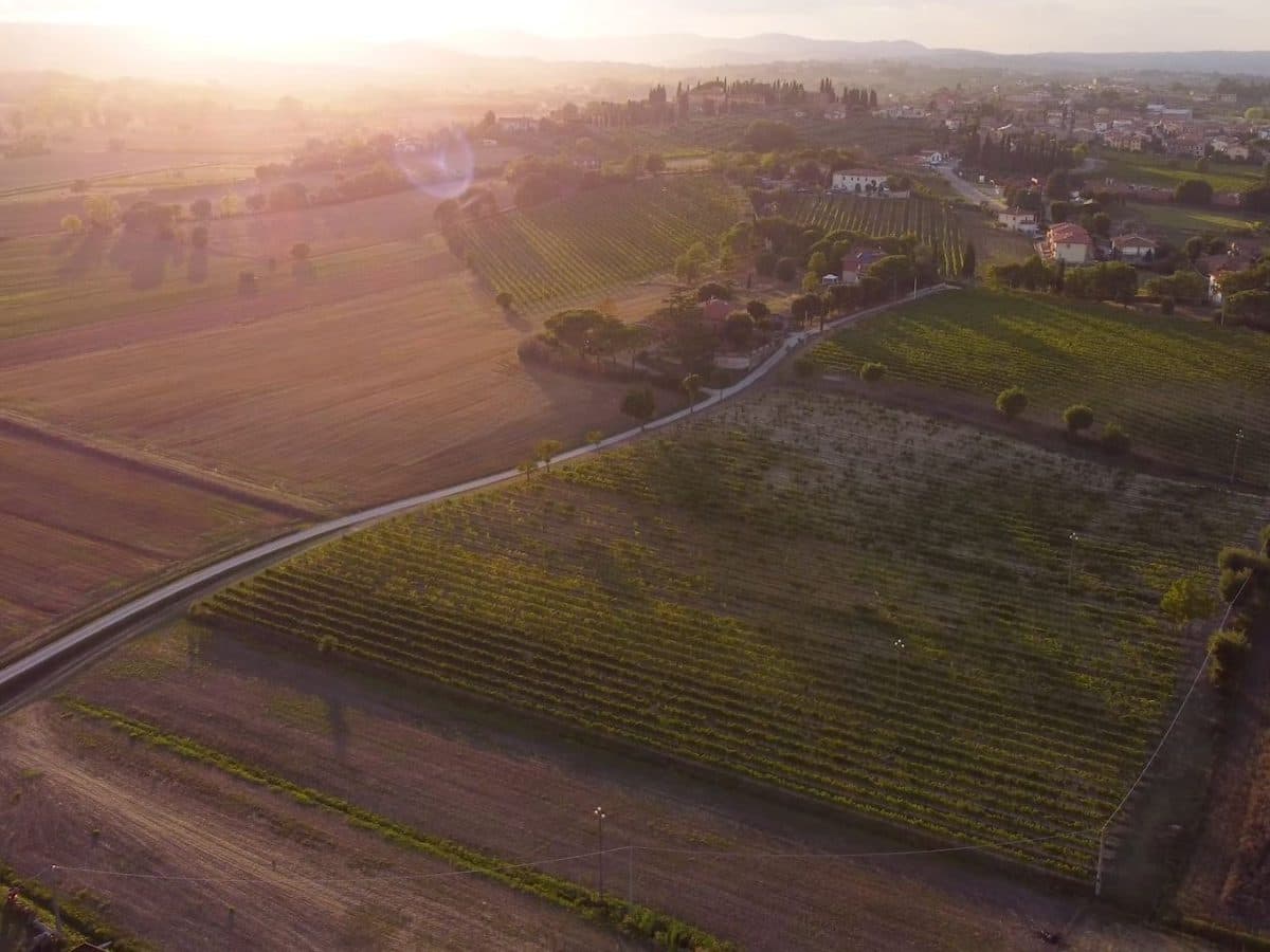 Luteraia Sensorial Wine Tasting a Montepulciano 4