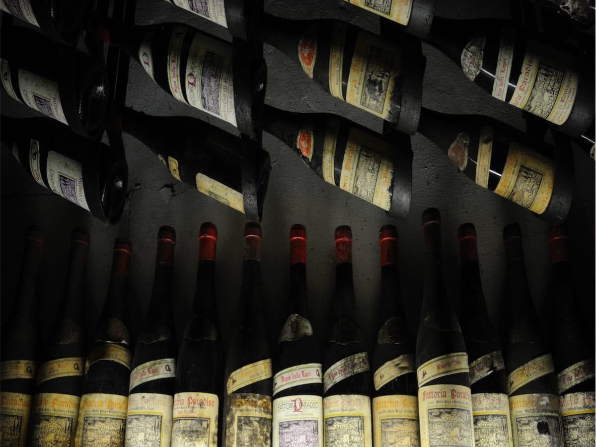 Fattoria Paradiso Wine Tasting e Visita al Museo del Vino a Bertinoro 5