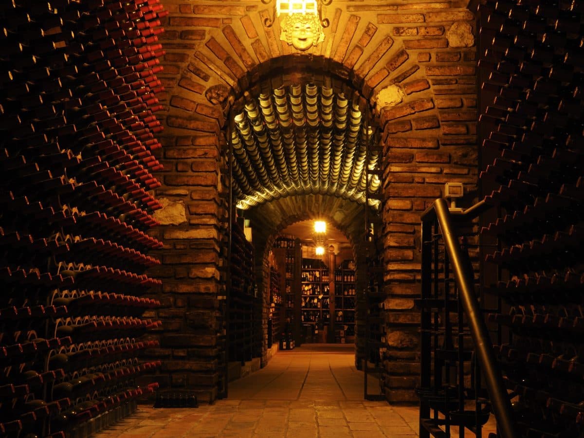 Fattoria Paradiso Wine Tasting e Visita al Museo del Vino a Bertinoro 2