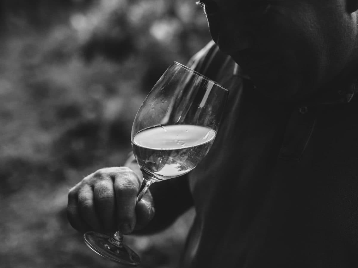 La Travaglina, Degustazione sua maestà il Pinot Nero nell’Oltrepò Pavese