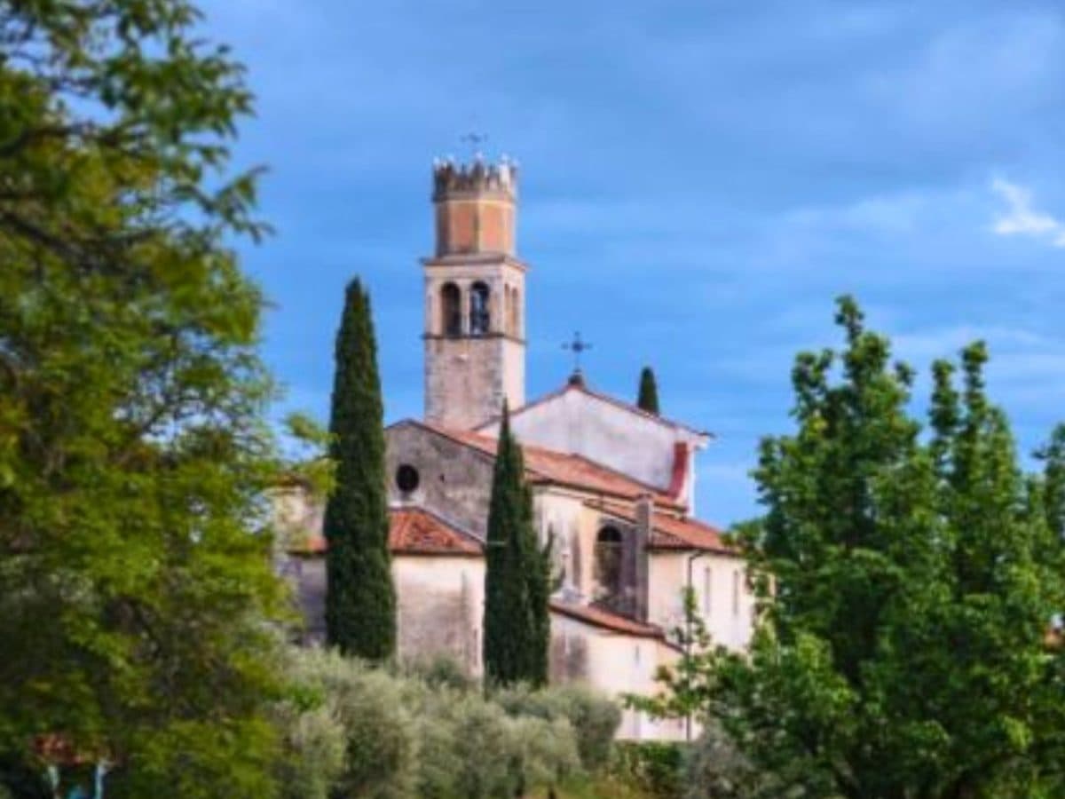 Wine tour: La Scoperta. 4