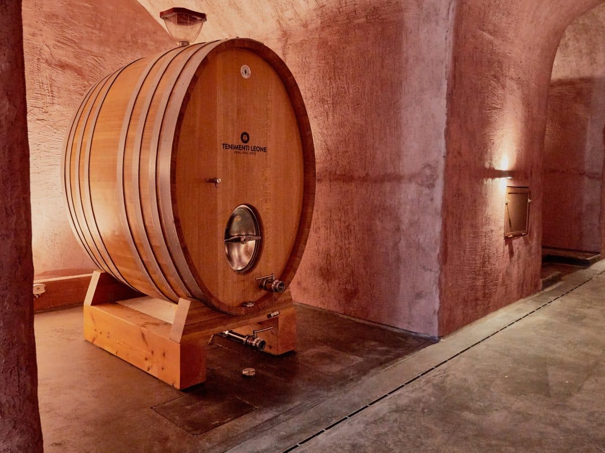Visita torre, cantine, grotte & Tasting 2