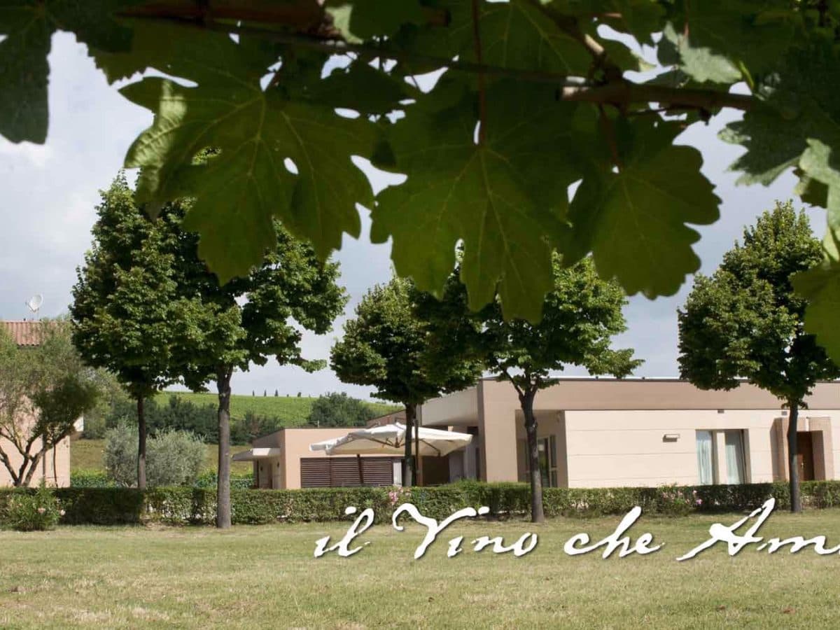 Il vino che ama la terra. 4