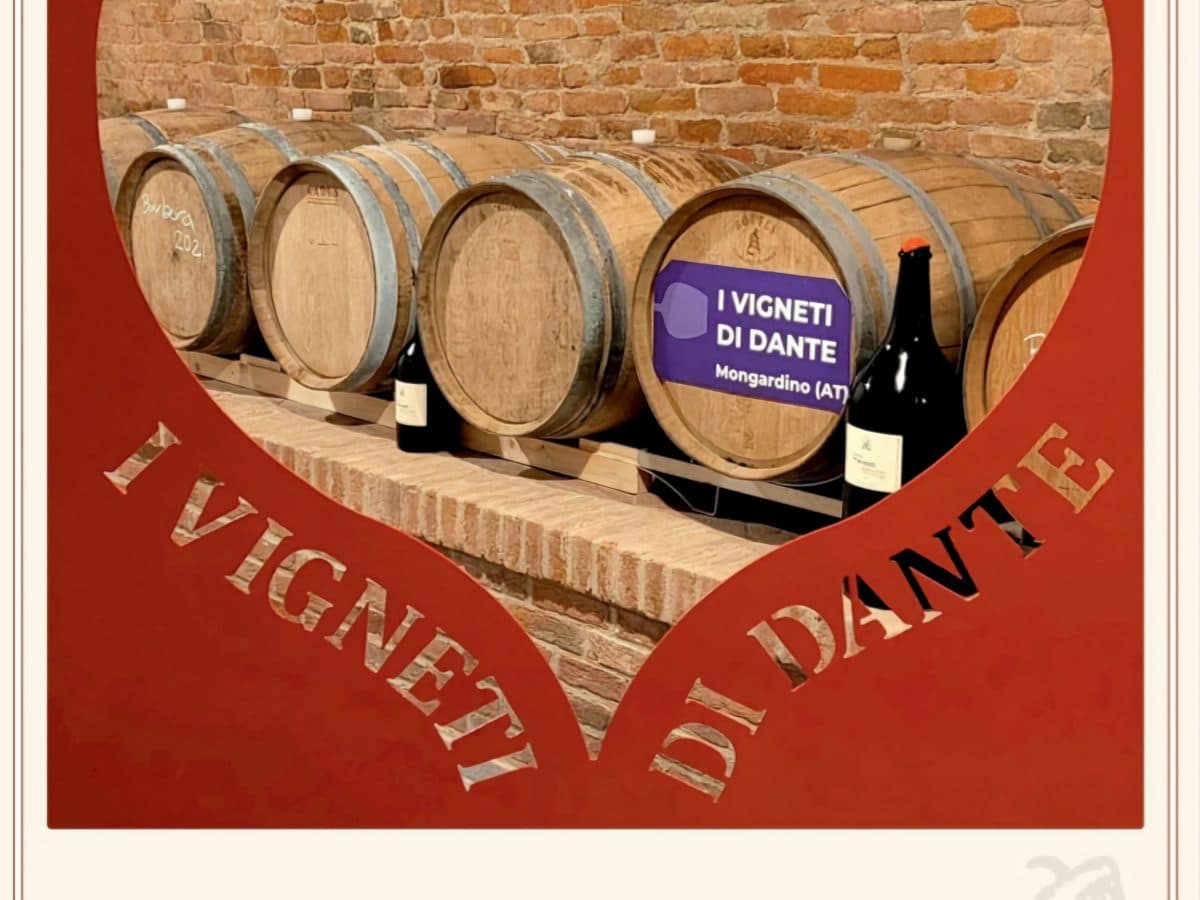 I vini e le colline della Barbera d'Asti 4