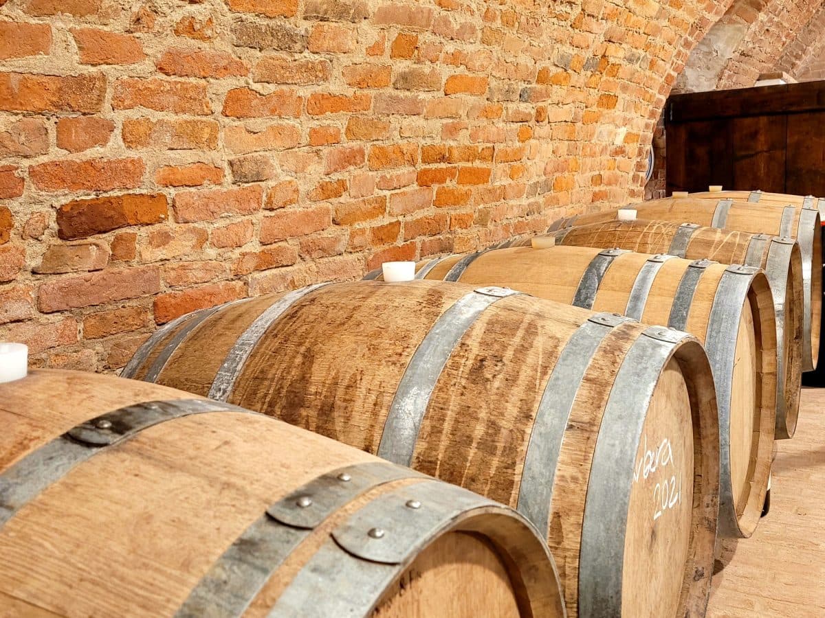 I vini e le colline della Barbera d'Asti 2