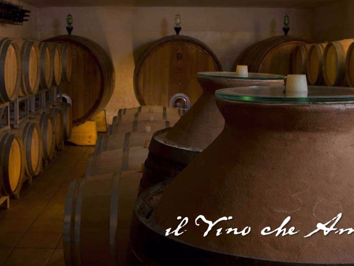 Il vino che ama la terra. 3