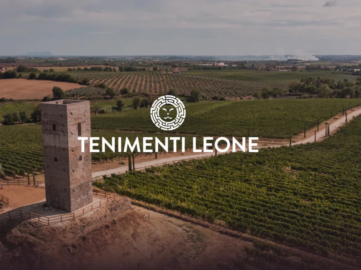 Visita torre, cantine, grotte & Tasting