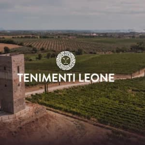 Visita torre, cantine, grotte & Tasting