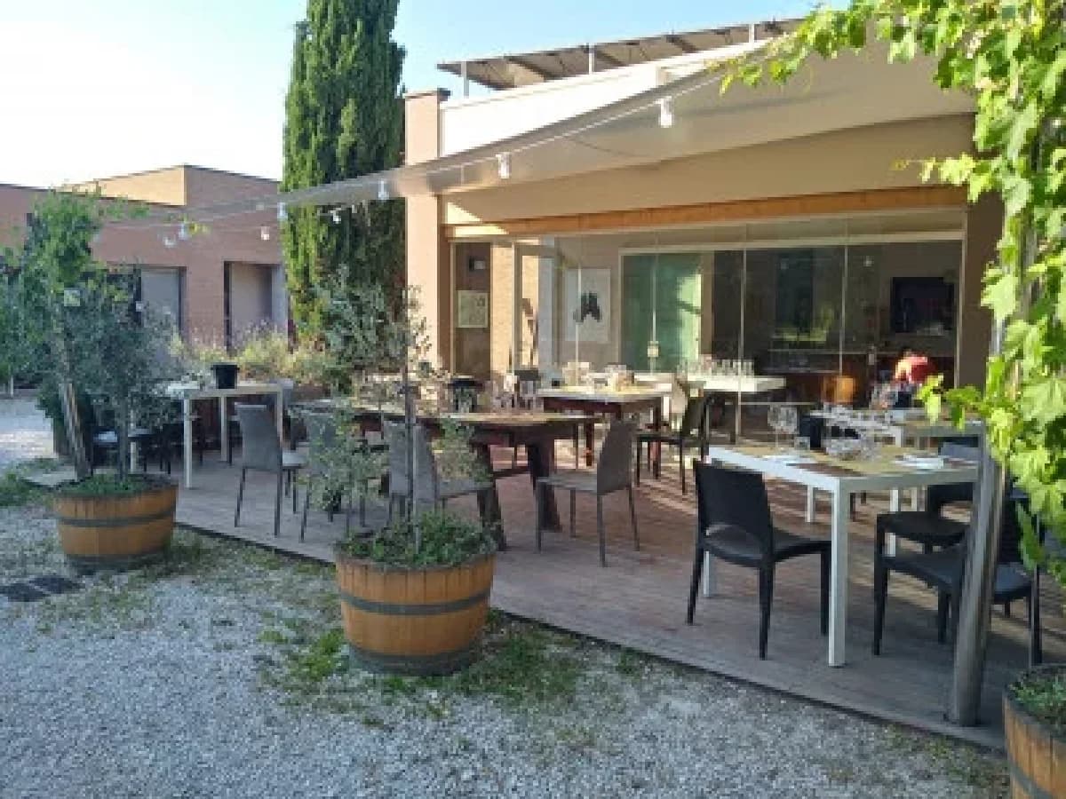 Il vino che ama la terra. 2