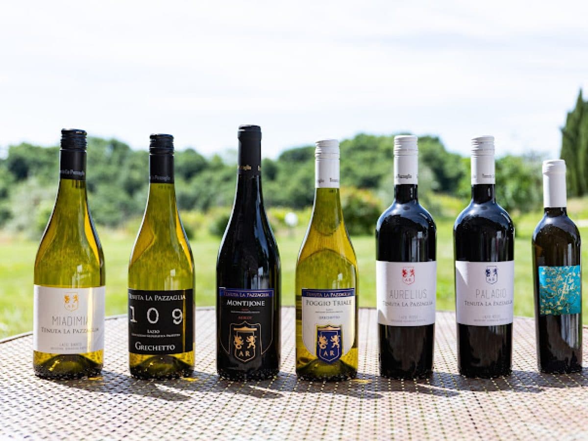 Degustazione 6 vini. 3