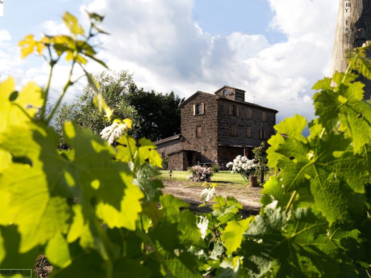 Degustazione 6 vini. 5