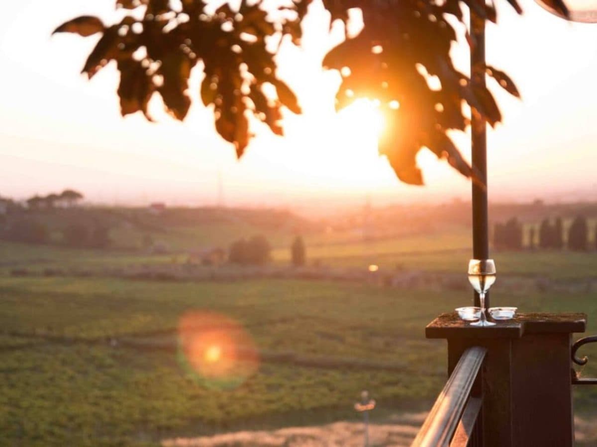 Wine tour e degustazione 4