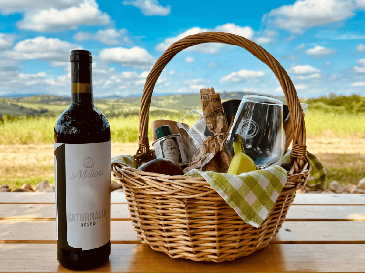 Lunch Picnic tra le colline della Maremma toscana 2