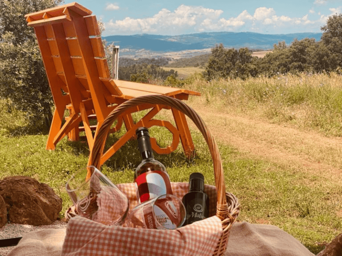 Lunch Picnic tra le colline della Maremma toscana 4