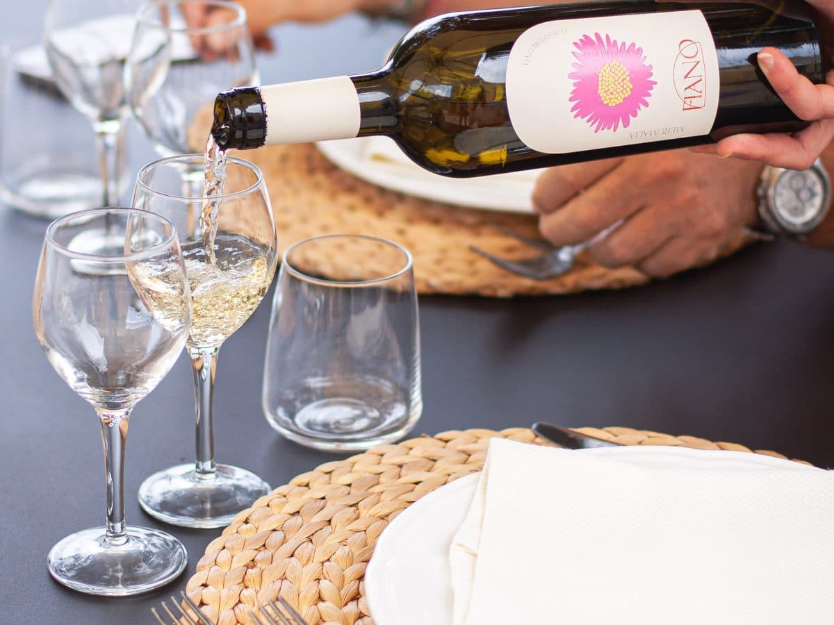 Wine tour e degustazione 5